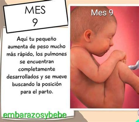 Caracteristicas del 6 mes de embarazo