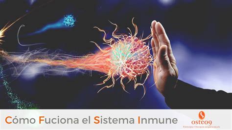 Como Funciona El Euromillon