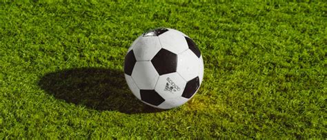 Como Funciona Quinigol