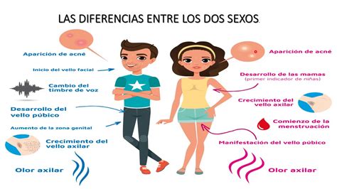 Cuál es la diferencia biológica entre hombres y mujeres - Sujeto