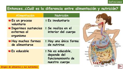 Cuál es la diferencia entre nutrición alimentación y dieta
