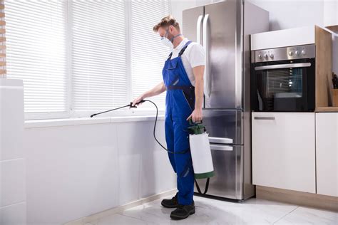 Dph soluciones para el hogar