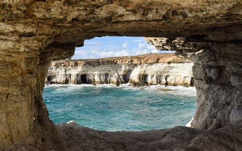 Ejemplos De Estructuras Naturales