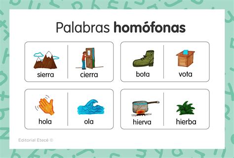 Ejemplos De Palabras Homónimas