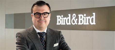 Iic De Inversión Libre O Iic Inmobiliarias