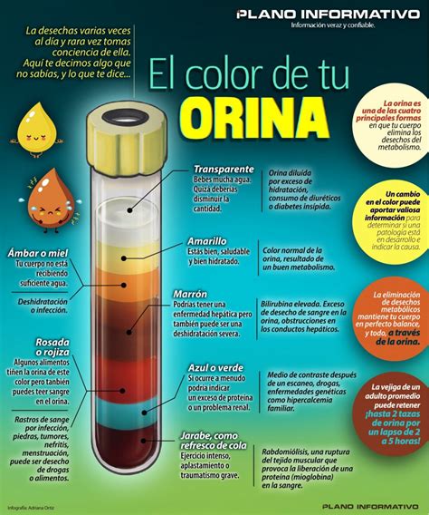 Por qué orino amarillo