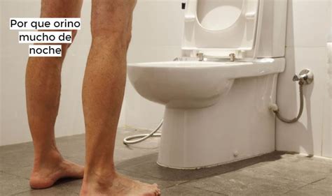 Por qué orino mucho