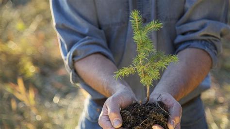 Soluciones para evitar el calentamiento global
