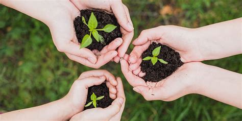 Soluciones para proteger el medio ambiente