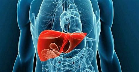 Hepatitis a en cuanto tiempo se cura