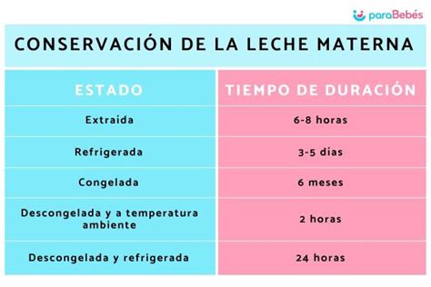 Leche materna cuanto tiempo dura